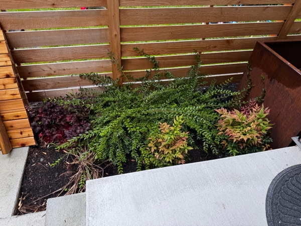 Bike box original location